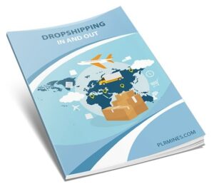 Dropshipping in and out PLR eBook cover showing profit and online business theme