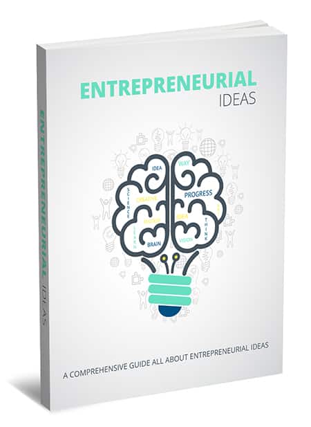 Entrepreneurial ideas eBook cover with tips on home-based business success and PLR resell rights