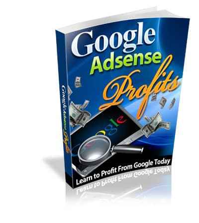 Google AdSense Profit eBook with PLR MRR resell rights digital download