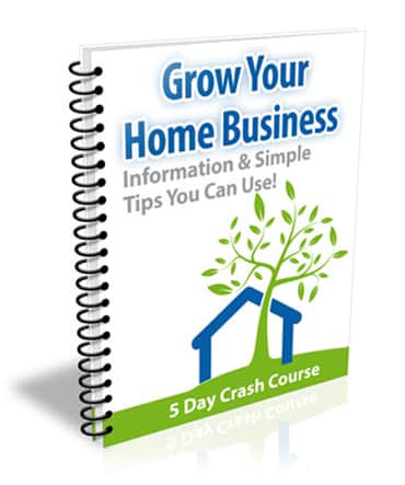 Grow Your Home Business eCourse and PLR bundle with digital lessons and graphics
