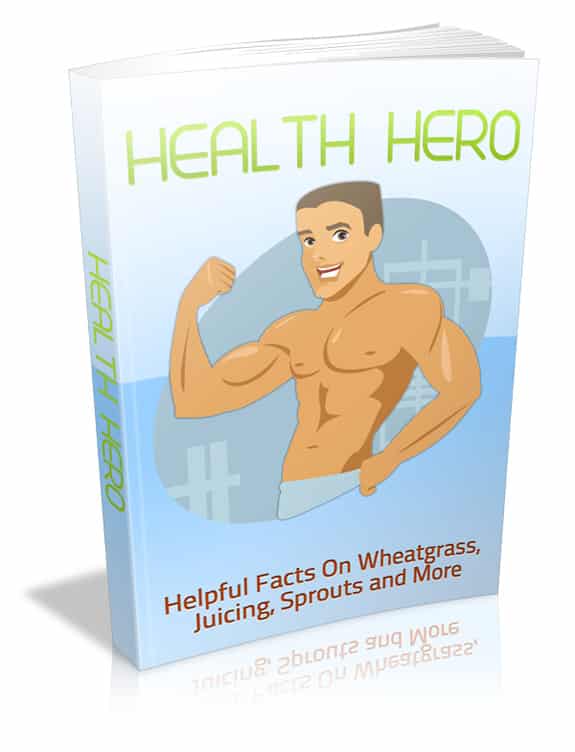 Health Hero ebook cover showing a vibrant fruit and vegetable concept for PLR healthy eating digital product