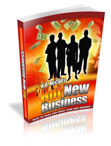 Hot New Business home-based jobs guide with PLR resell rights digital download