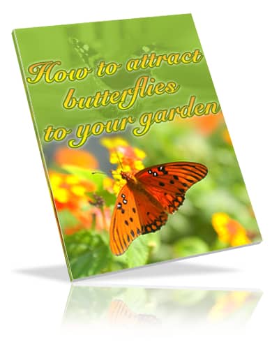 How to attract butterflies to your garden digital guide with PLR resell rights