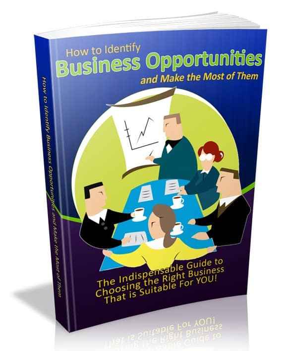 How to Identify Business Opportunities - digital PLR ebook with resell rights for entrepreneurs