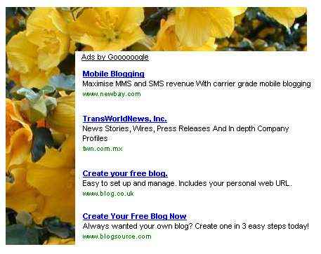HTML Templates for Adsense – responsive AdSense‑ready website templates with PLR/MRR resell rights