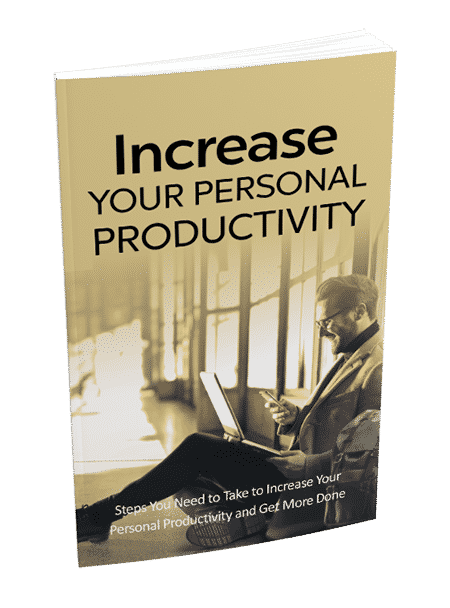 Productivity guide with PLR MRR resell rights digital download showing strategies to increase efficiency[/IMAGE