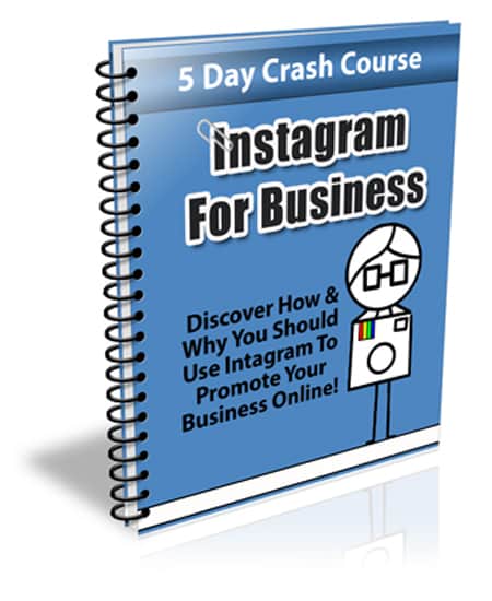 Instagram For Business course mockup showing social media marketing strategies for entrepreneurs