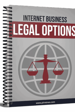 Internet Business Legal Options 2021