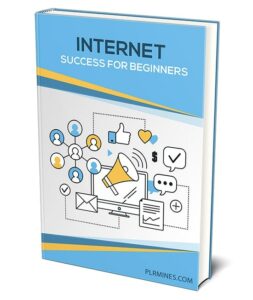Internet success for beginners PLR eBook cover showing step-by-step online selling guide