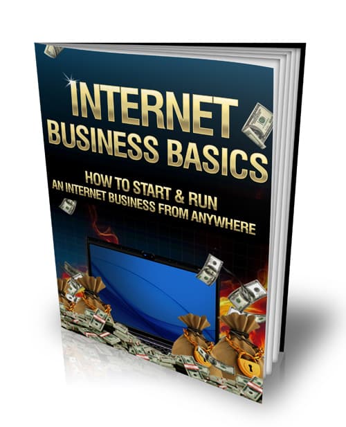 Internet Business Basics - digital PLR guide for starting a home-based online business