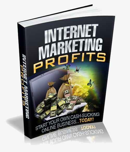 Internet marketing profits PLR ebook cover showing red and blue graph design