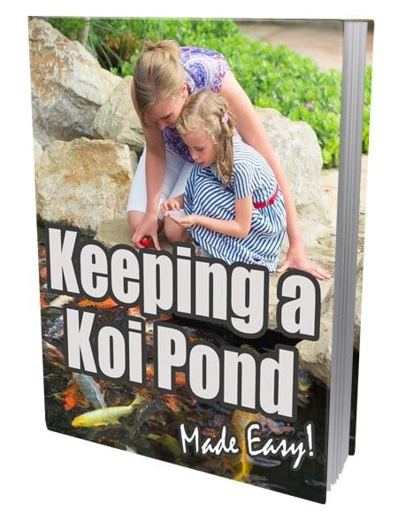 PLR Koi fish keeping guide digital download with resell rights
