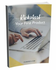Kickstart your first product PLR guide with digital download and resell rights