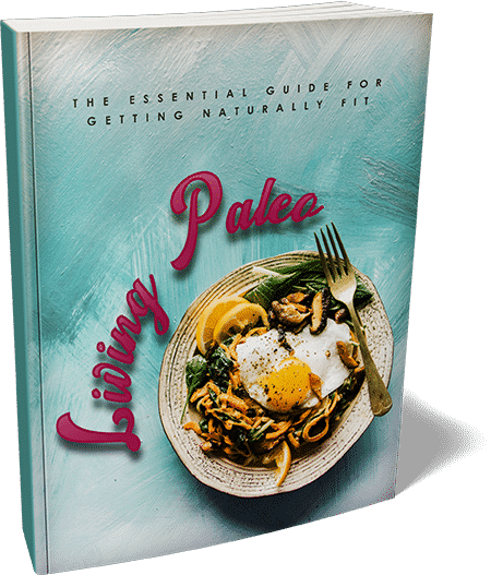 Paleo diet ebook with PLR resell rights cover image