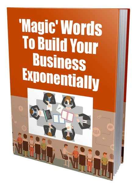 Magic Words digital PLR guide showcasing business growth phrases, resell rights product cover image