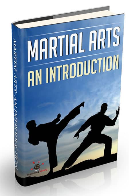 Martial Arts An Introduction digital download PLR resell rights guide
