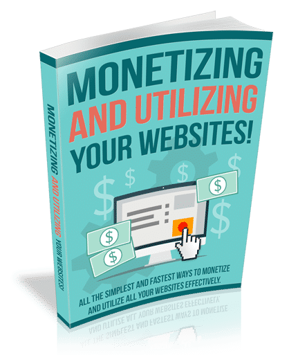 Ecommerce website monetization and PLR eBook for generating income online