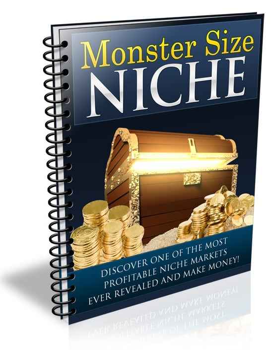 Monster Size Niche digital PLR report with resell rights for online marketers
