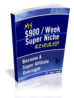Affiliate marketing digital download with PLR resell rights generating $900 per week super niche system