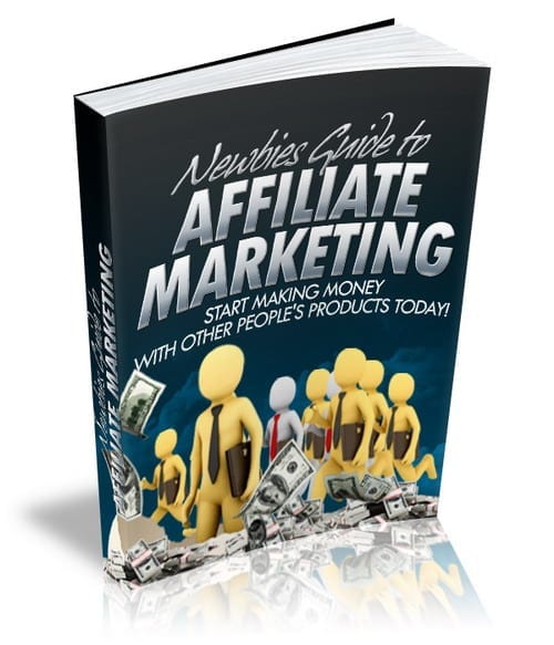 Newbies Guide To Affiliate Marketing digital PLR MRR ebook cover showcasing affiliate marketing for beginners