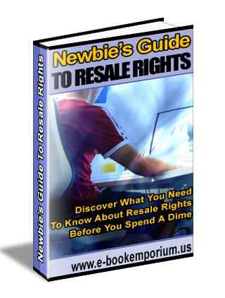 Newbies Guide To Resale Rights digital download PLR MRR resell rights eBook cover