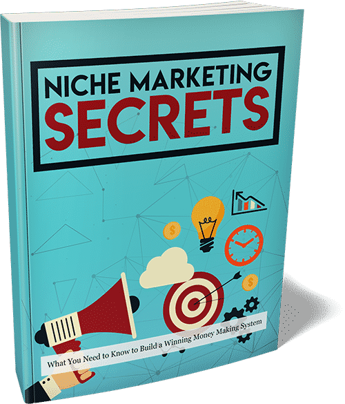 Niche marketing secrets digital ebook showing brand building strategies for online entrepreneurs