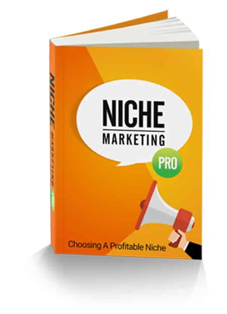 Niche marketing eBook cover showing niche market strategies for online business success