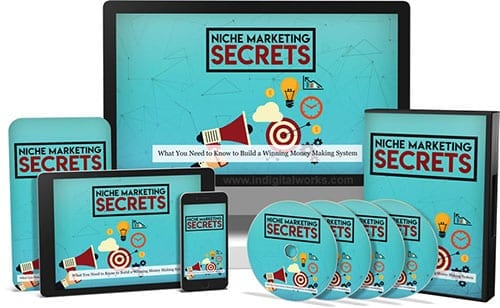 Niche marketing secrets digital ebook with PLR MRR resell rights to build passive income online