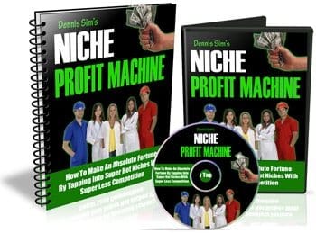 Niche marketing PLR guide digital download with resell rights showing profit potential