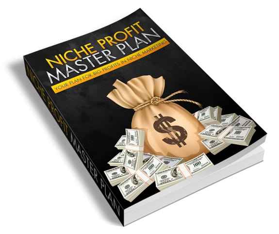 eBook cover for Niche Profit Master Plan highlighting digital PLR product reselling opportunities