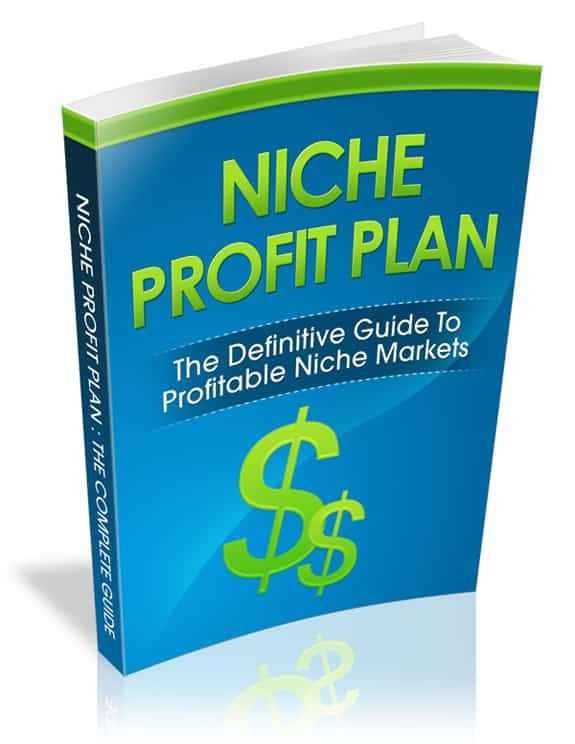 Niche Profit Plan digital book cover showing niche marketing strategy with a money-making funnel design