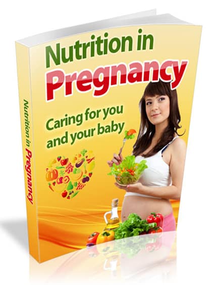 Nutrition In Pregnancy digital guide with PLR MRR resell rights for expectant mothers