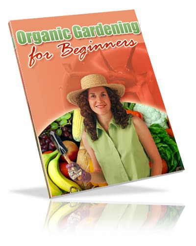 Organic gardening for beginners guide showing fresh vegetables growing in a chemical-free home garden