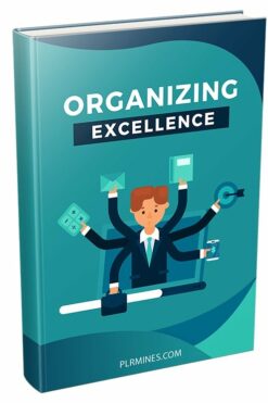 Organizing Excellence