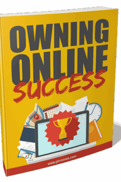 Owning Online Success