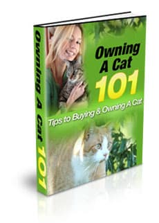 Owning a cat guide digital download with PLR MRR resell rights for choosing the perfect cat