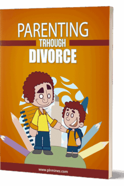 Parenting Through Divorce - new edition