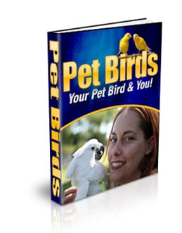 Pet birds ebook cover showing a colorful parrot on a perch, perfect for bird care guide