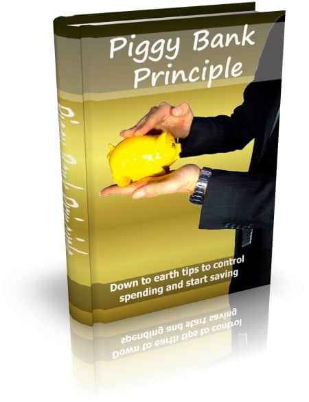 Personal finance savings guide with piggy bank illustration for PLR MRR resell rights