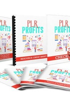 PLR Profits Video Upgrade