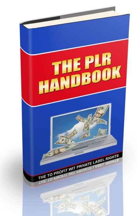 Digital PLR handbook cover showing strategies to profit with private label rights online