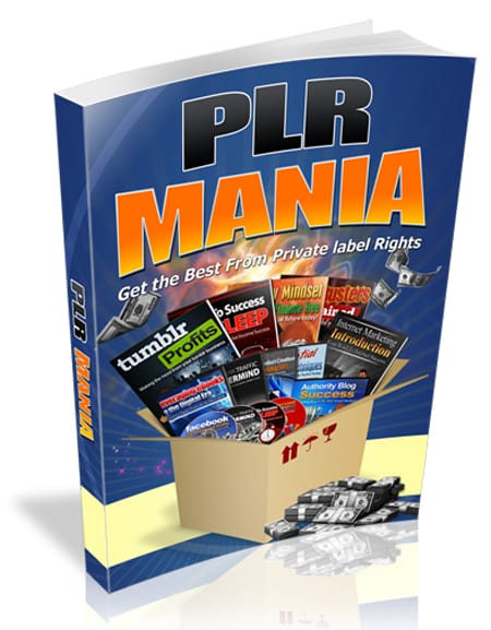 Digital PLR guide with resell rights for product creation and fast income