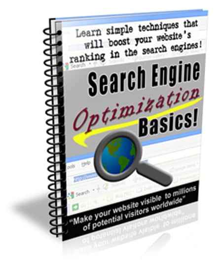 Search Engine Optimization Basics digital newsletter with PLR MRR resell rights