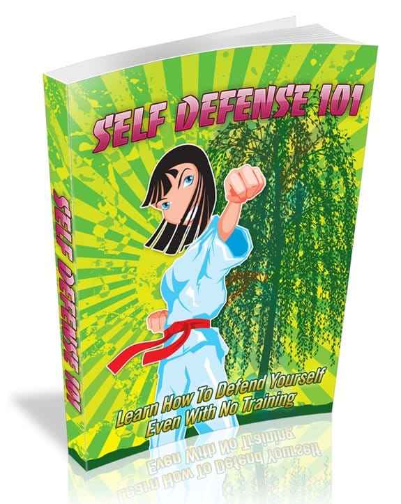 Self Defense 101 digital book cover with title and simple defensive stance illustration