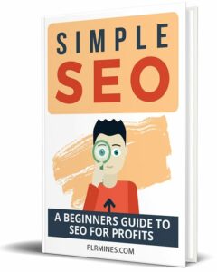Simple SEO PLR eBook cover – beginner guide to search engine optimization and resell rights