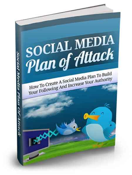 Social media strategy guide with PLR resell rights – build your following and authority