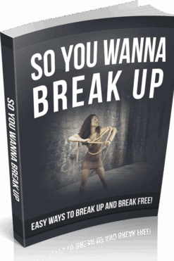 So You Wanna Break Up