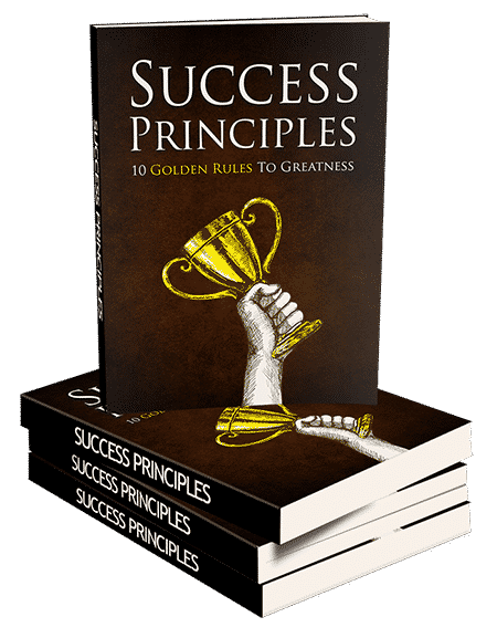 Success principles eBook cover showing key concepts for personal and professional growth with PLR rights