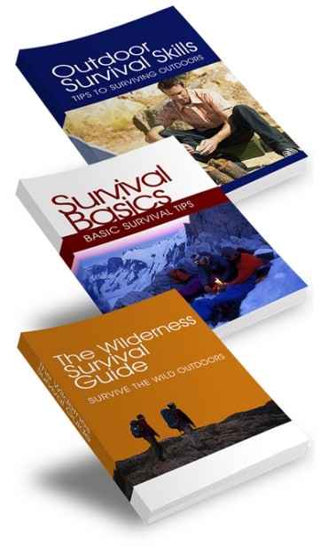 Survival Treasure Trove PLR package with articles, ebooks, and resell rights for survival niche profits