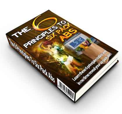 The 6 Principles To Six Pack Abs digital guide with PLR MRR resell rights